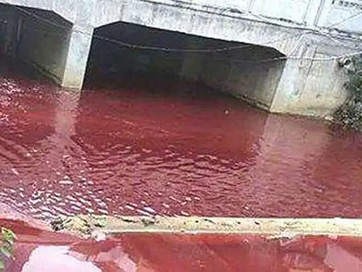 slaughterhouse wastewater treatment